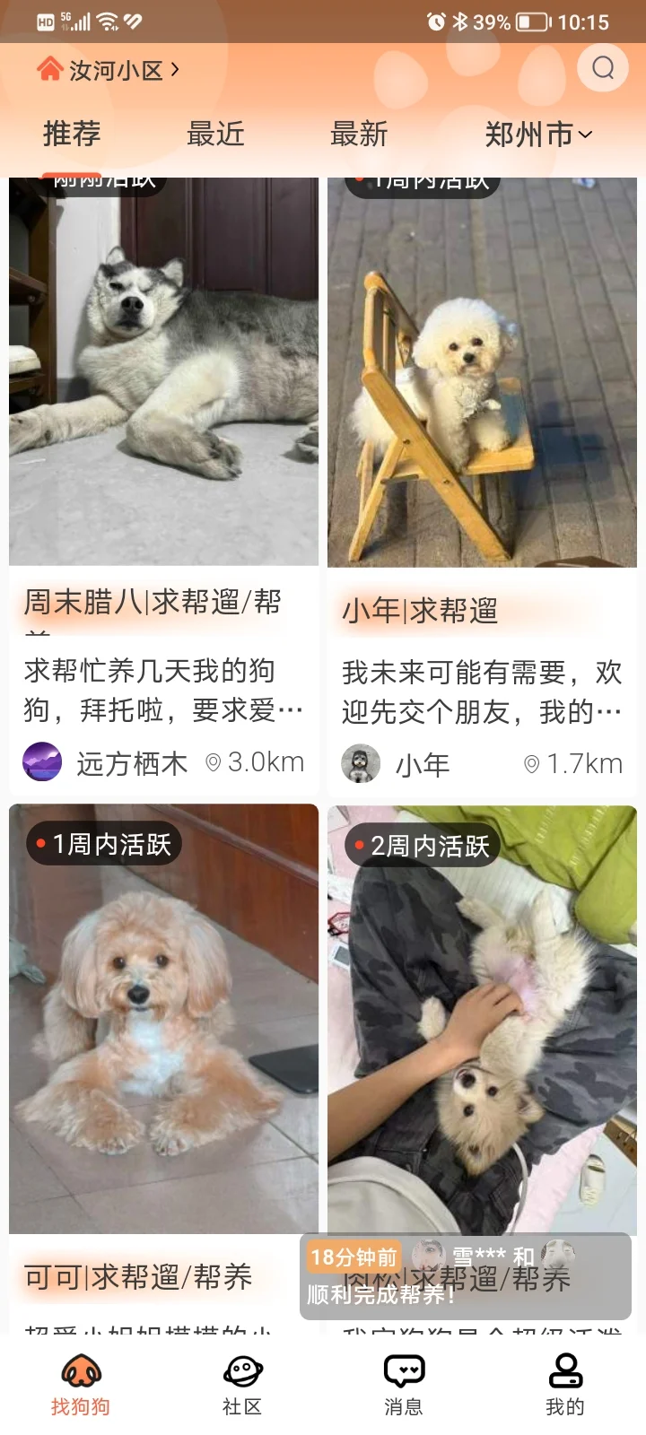喜欢小狗的有福了