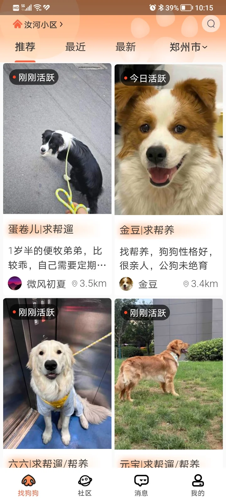 喜欢小狗的有福了