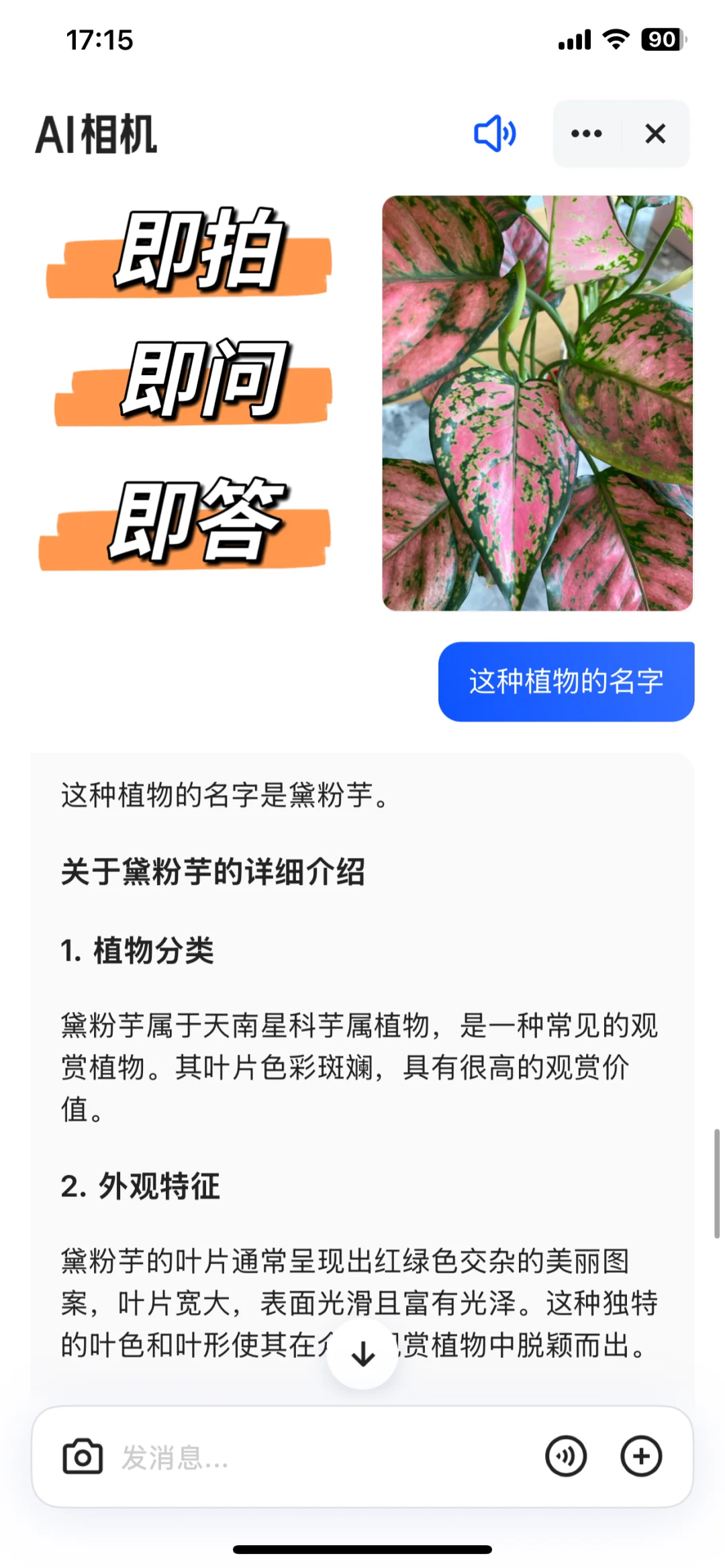爱上夸克 离不开根本离不开的好朋友