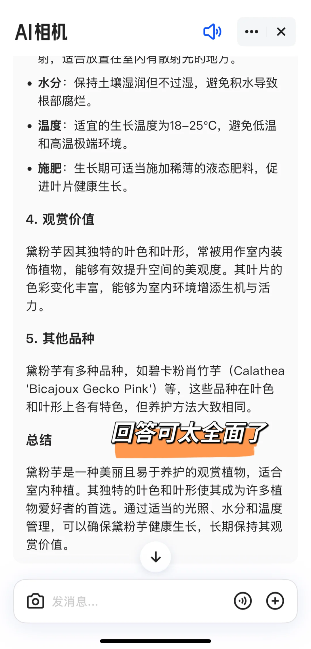 爱上夸克 离不开根本离不开的好朋友