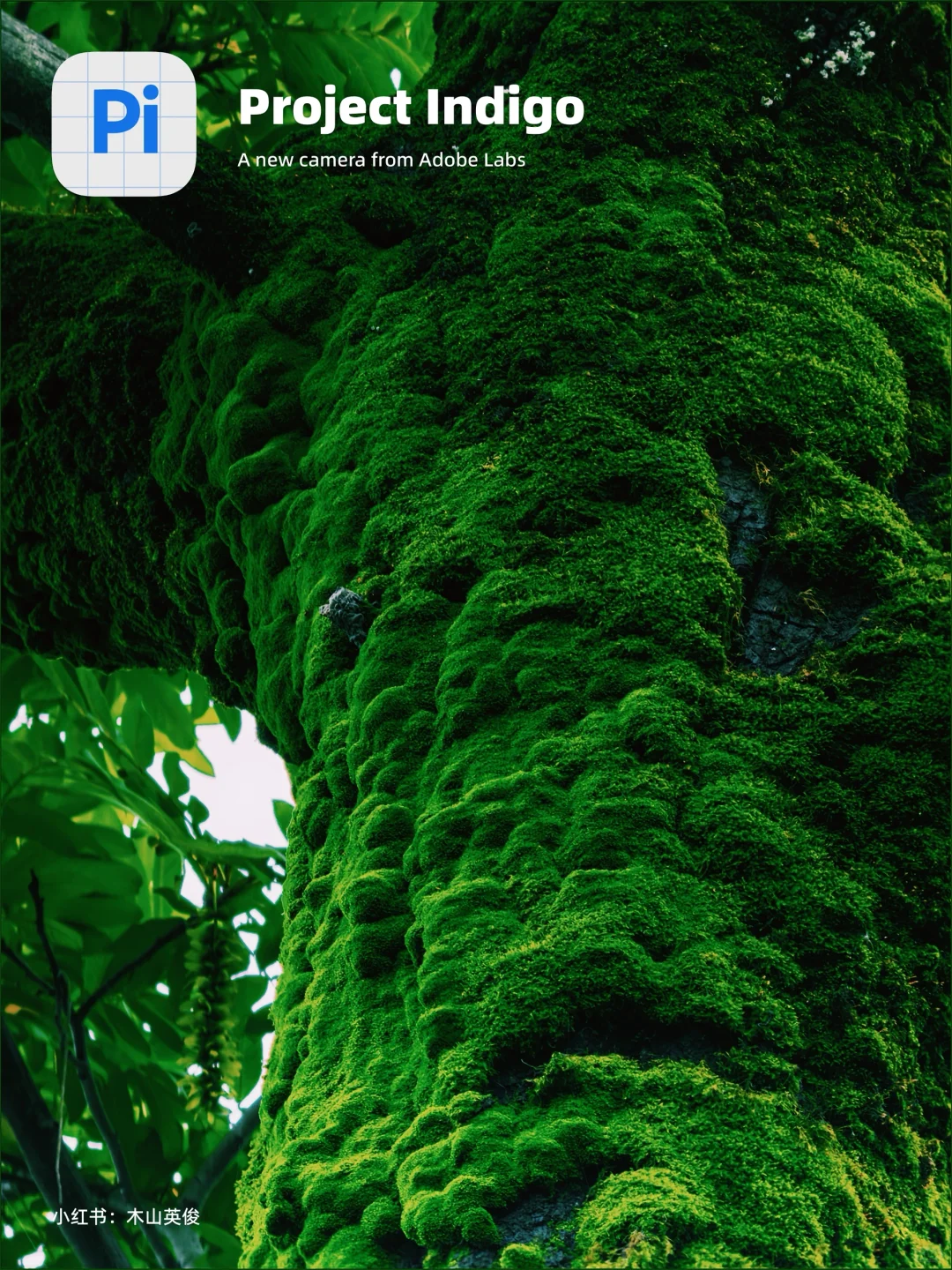 10年索尼，被 indigo app 惊艳！