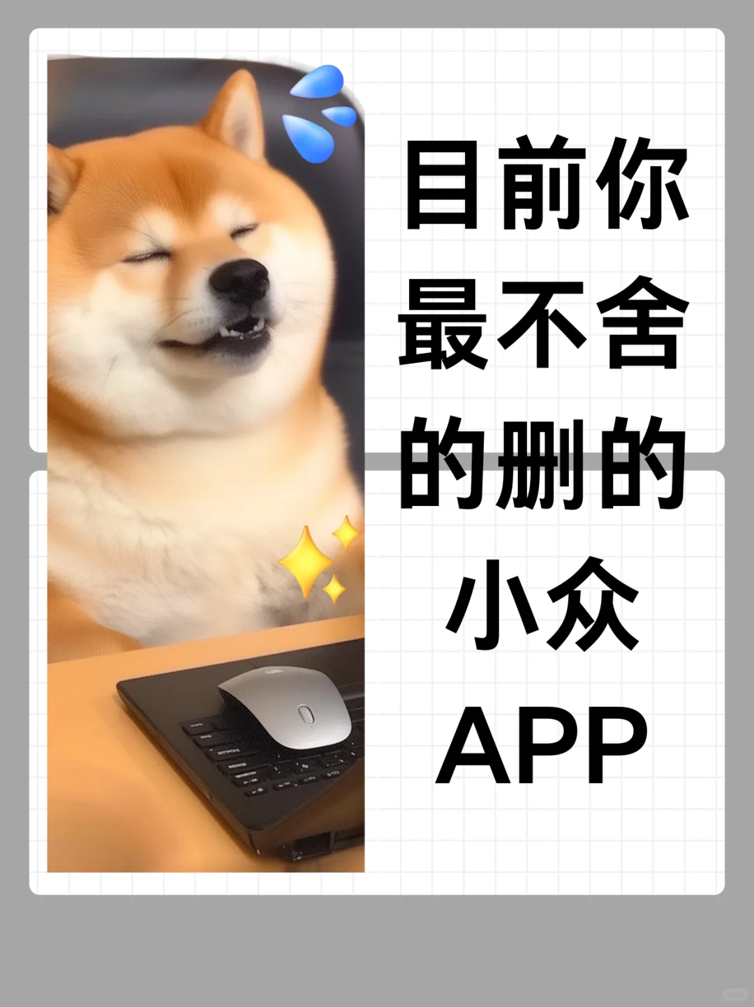 小众但是实用的 APP