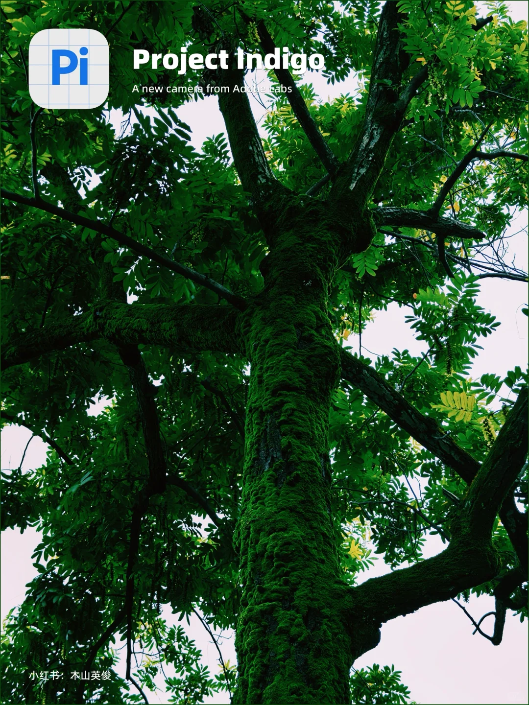 10年索尼，被 indigo app 惊艳！