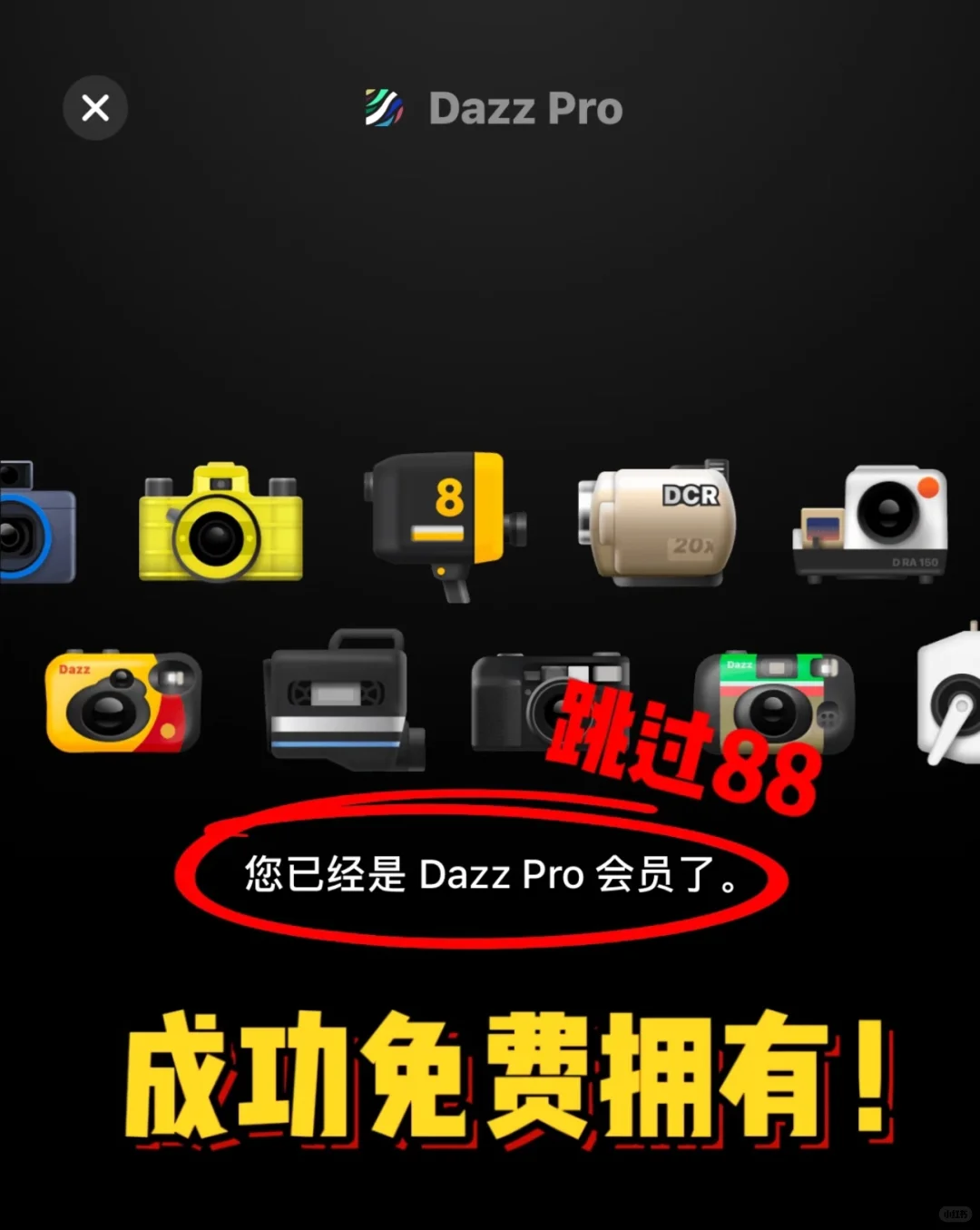 1.8R拿下Dazz永久Pro会员，立省88