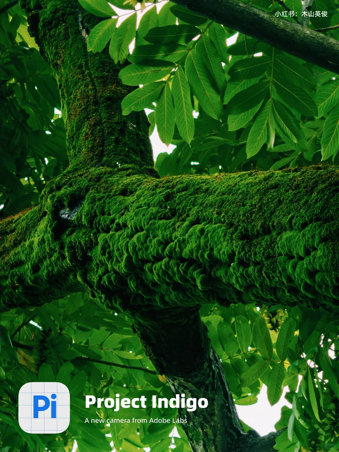 10年索尼，被 indigo app 惊艳！