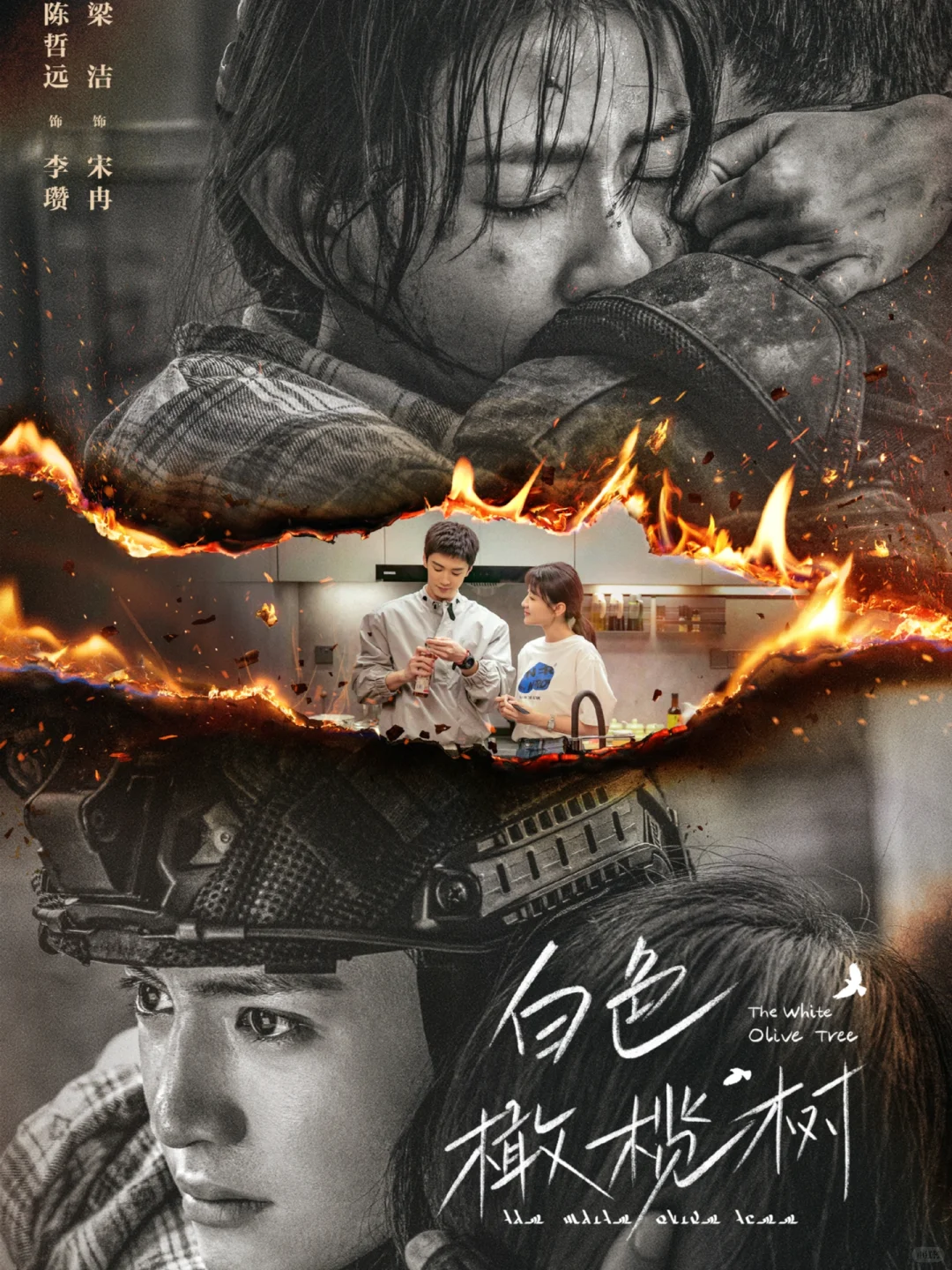 鲨疯了‼️四大平台👉新剧来袭➡️11月剧集更新