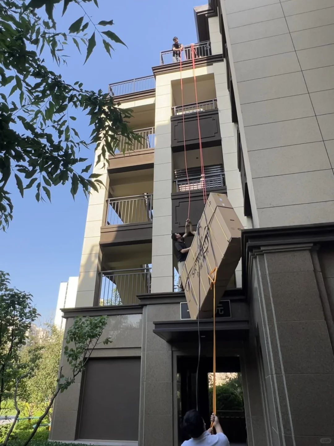 为了🍎盒子，再艰难也要把你拉上来😡👊