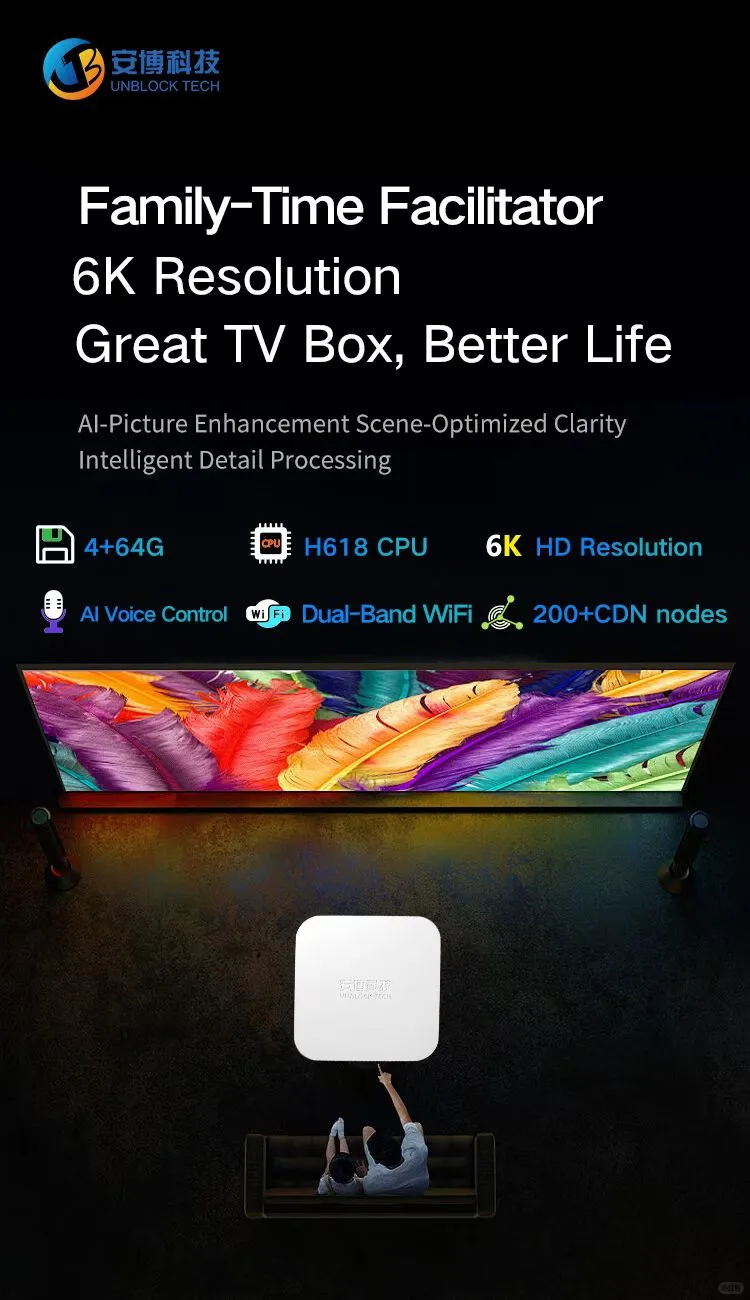 在美國也能看中文節目？這台電視盒真的可以