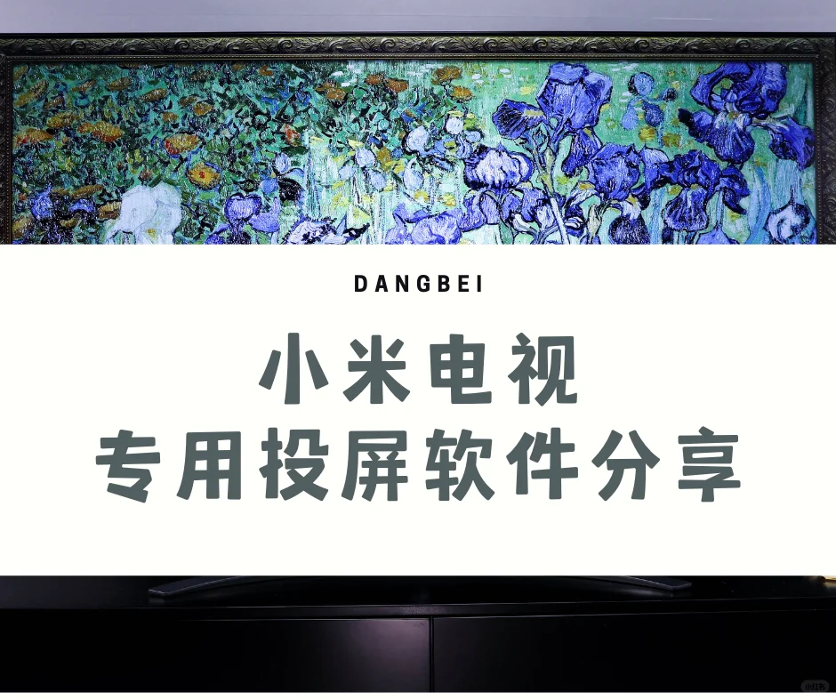 📺小米电视专用投屏软件分享