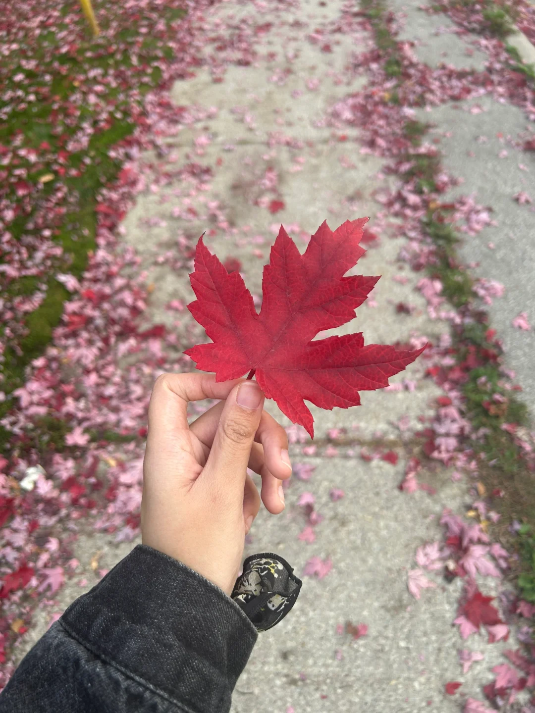 电脑到啦！！！Thinkbook14➕！！！