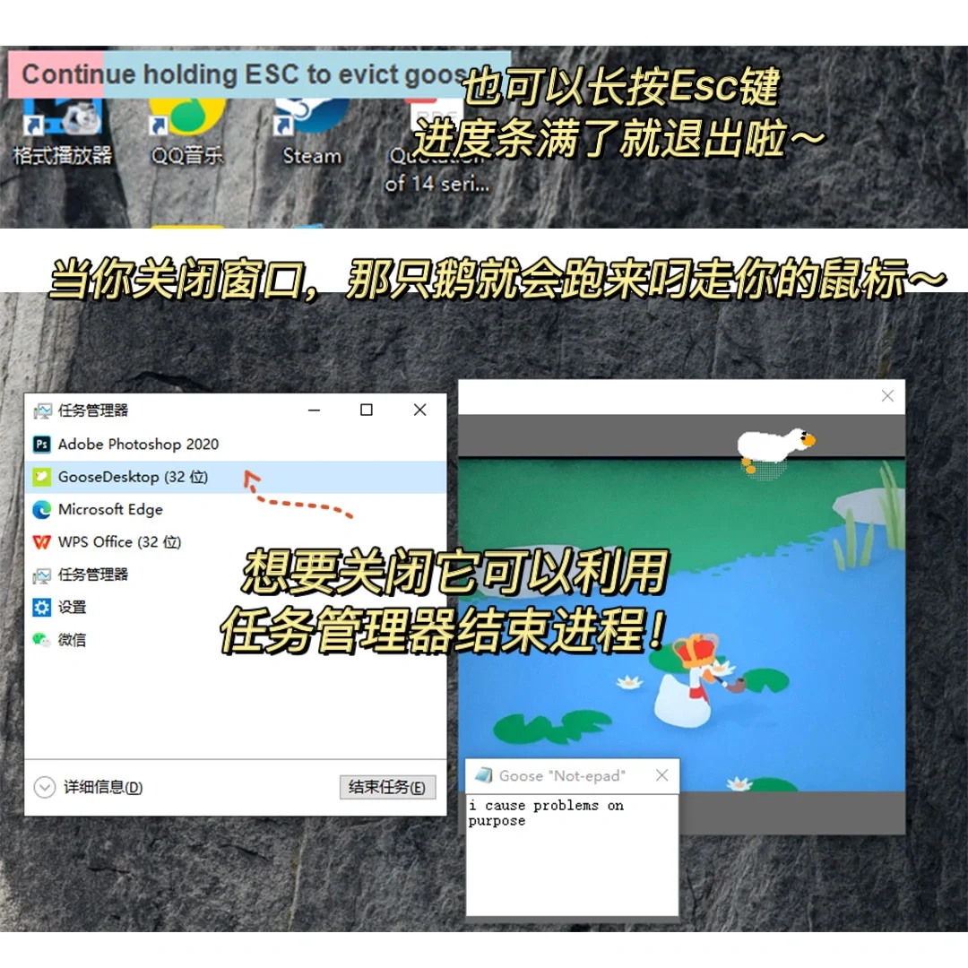 笑死！！千万不要给对象电脑装这只大鹅