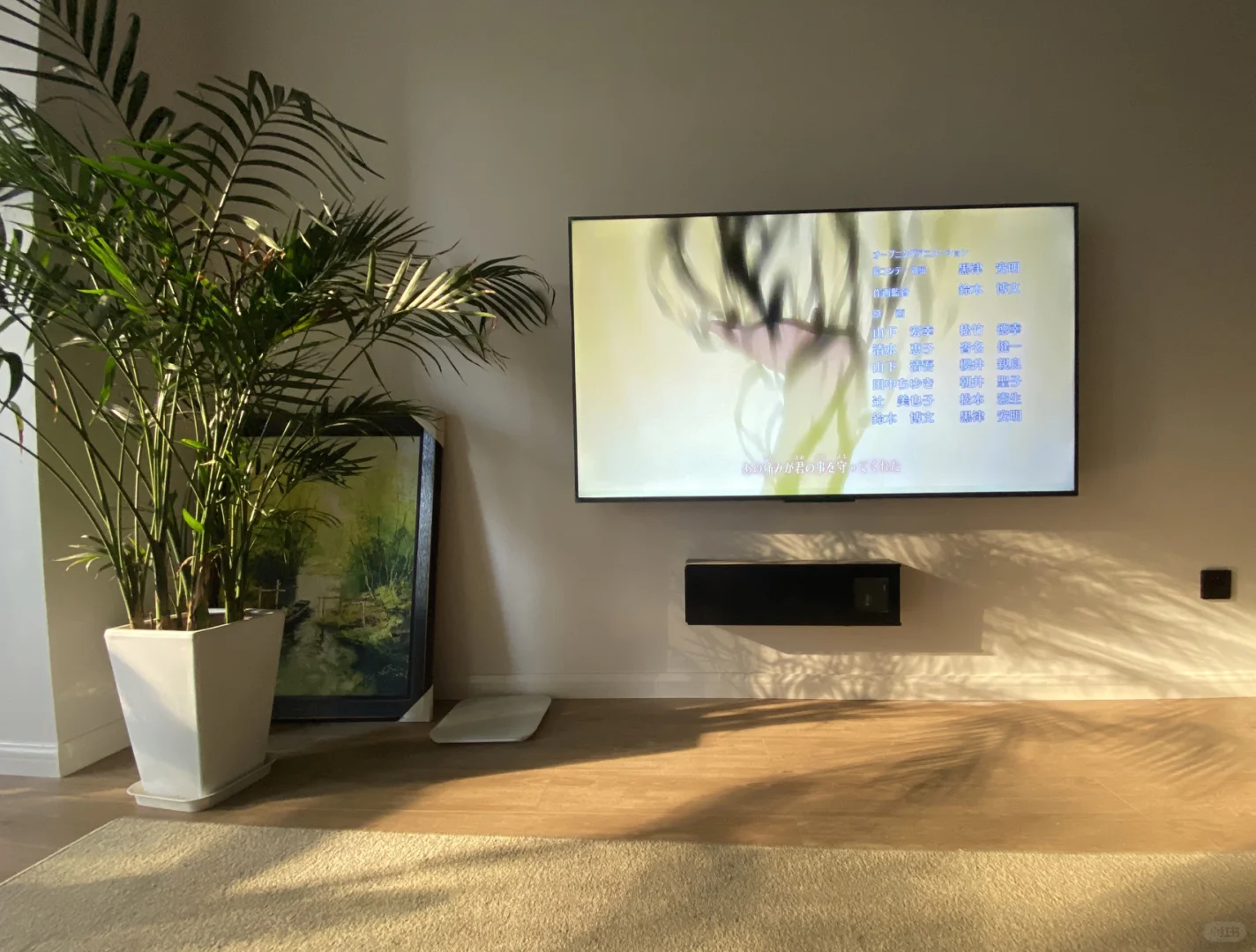 只要87元的无电视柜分享