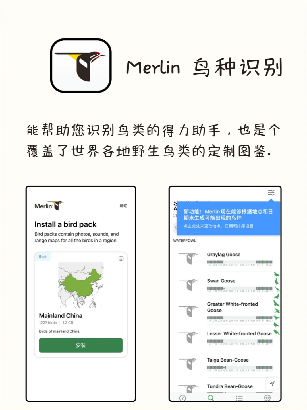 打死不卸载的8款神仙APP