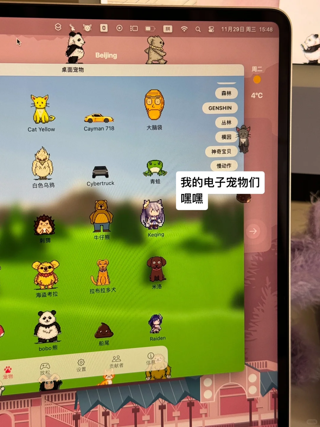 因为电脑桌面太好看被偷拍🥹