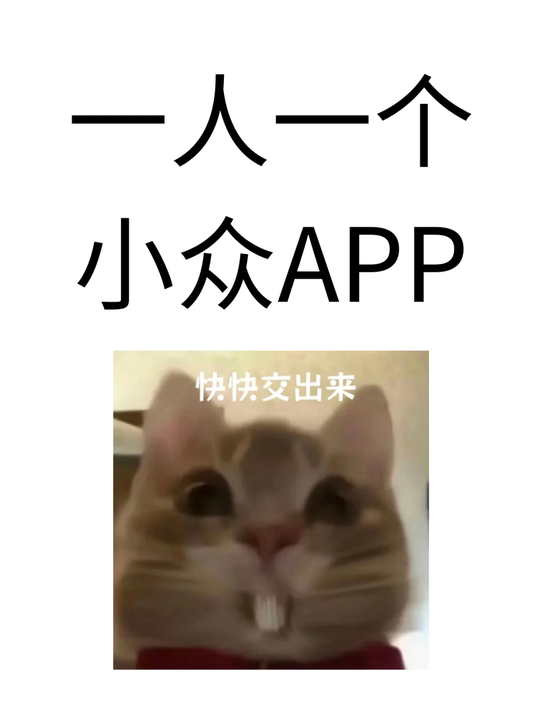 一人一个小众APP