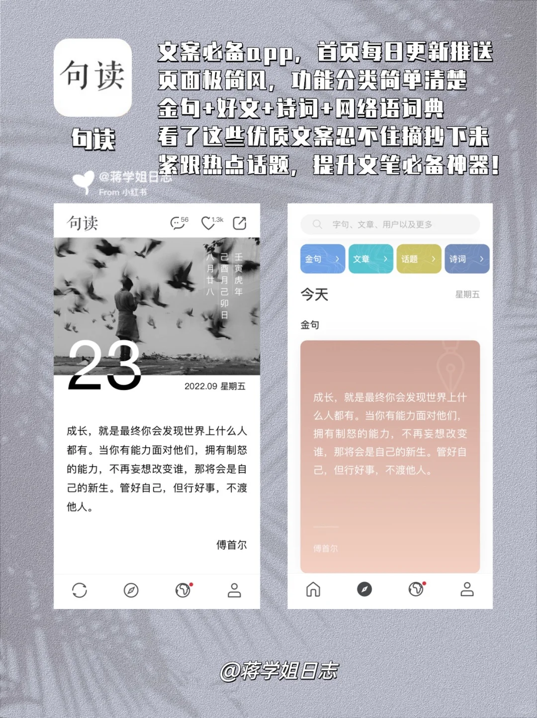 素人博主必备这8个工具💥少一个都不行‼️