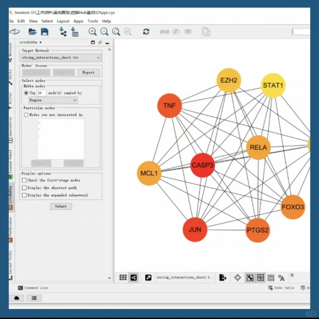 cytoscape软件安装包 插件包 下载安装教程