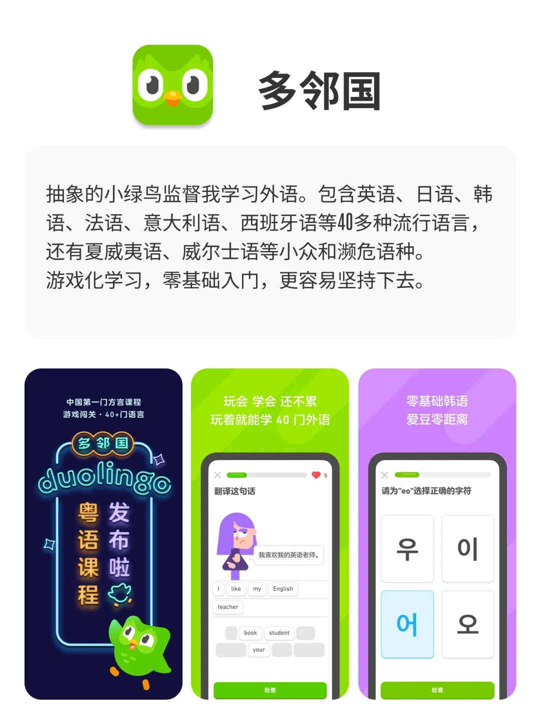 被一只红熊，一只绿鸟，一颗石头支配的一生✅✅