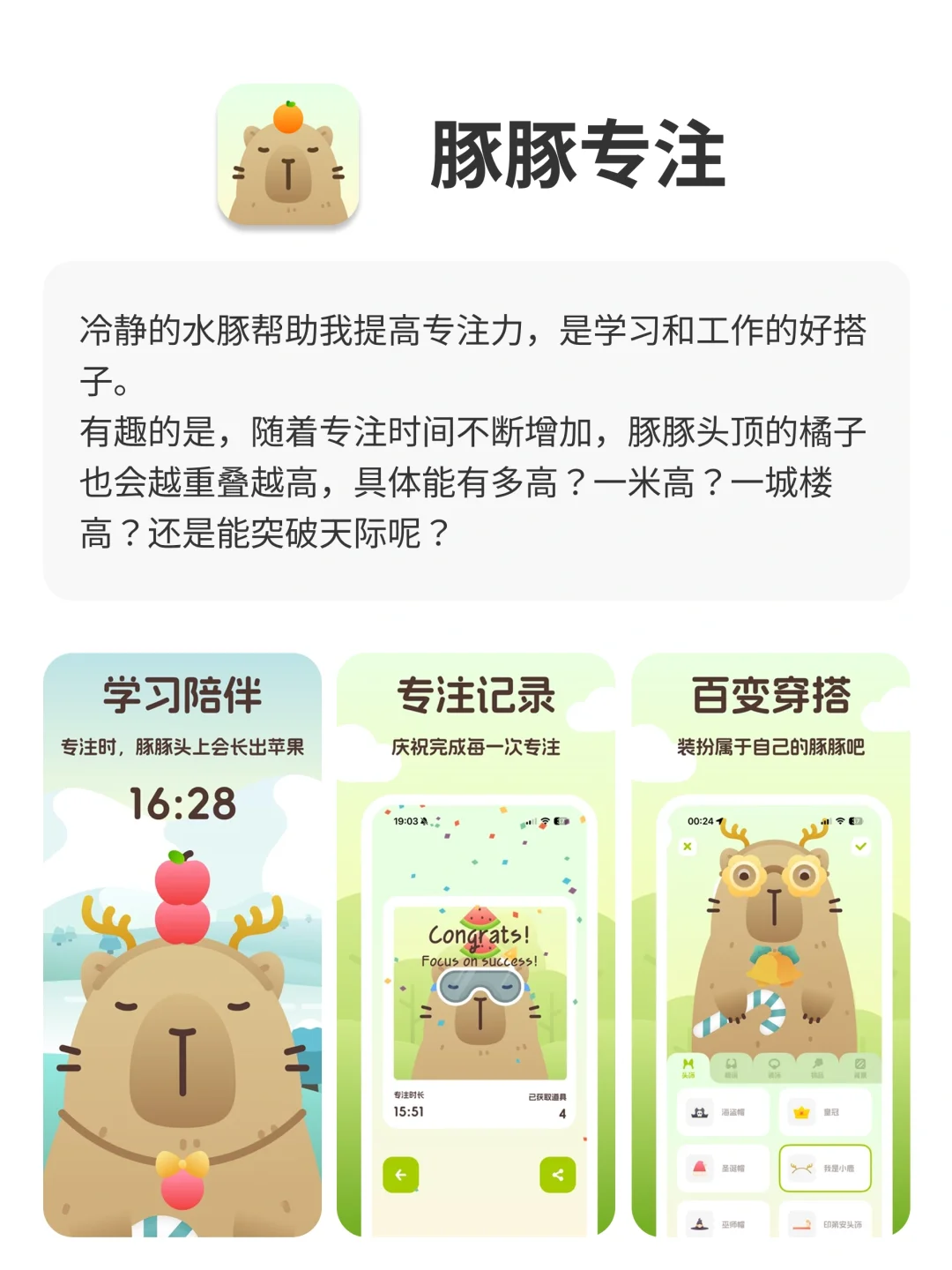 被一只红熊，一只绿鸟，一颗石头支配的一生✅✅