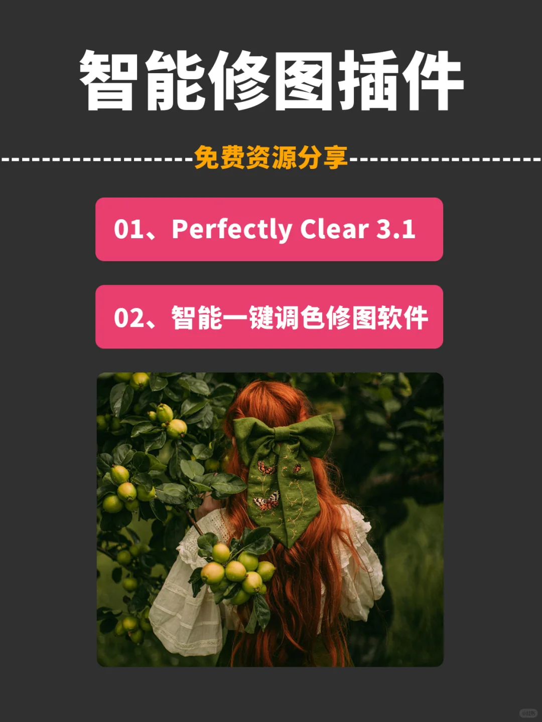 PS插件Perfectly Clear Complete 3.12软件