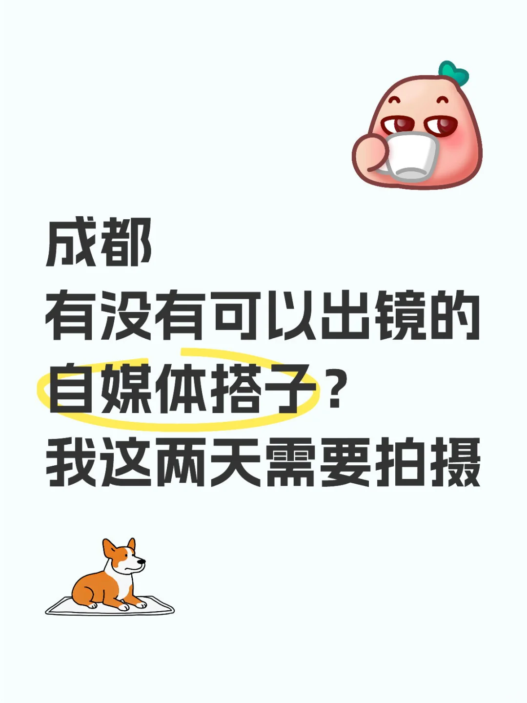 寻找自媒体搭子