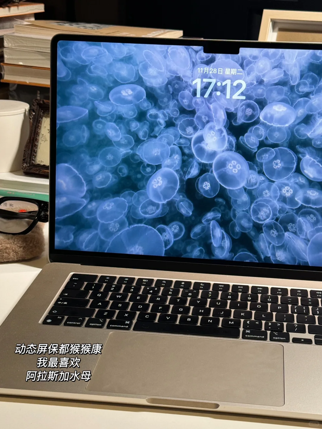 因为电脑桌面太好看被偷拍🥹