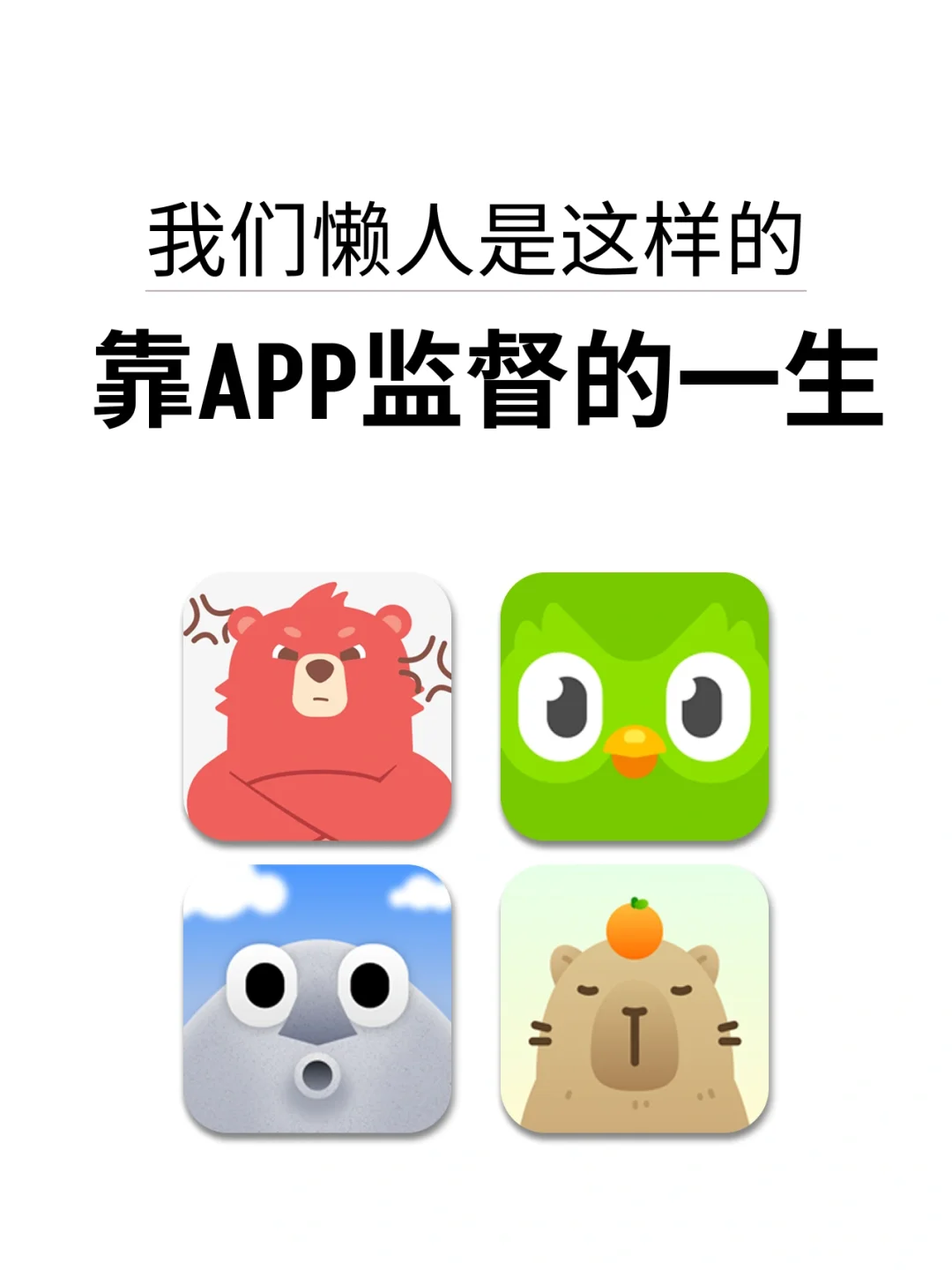 被一只红熊，一只绿鸟，一颗石头支配的一生✅✅