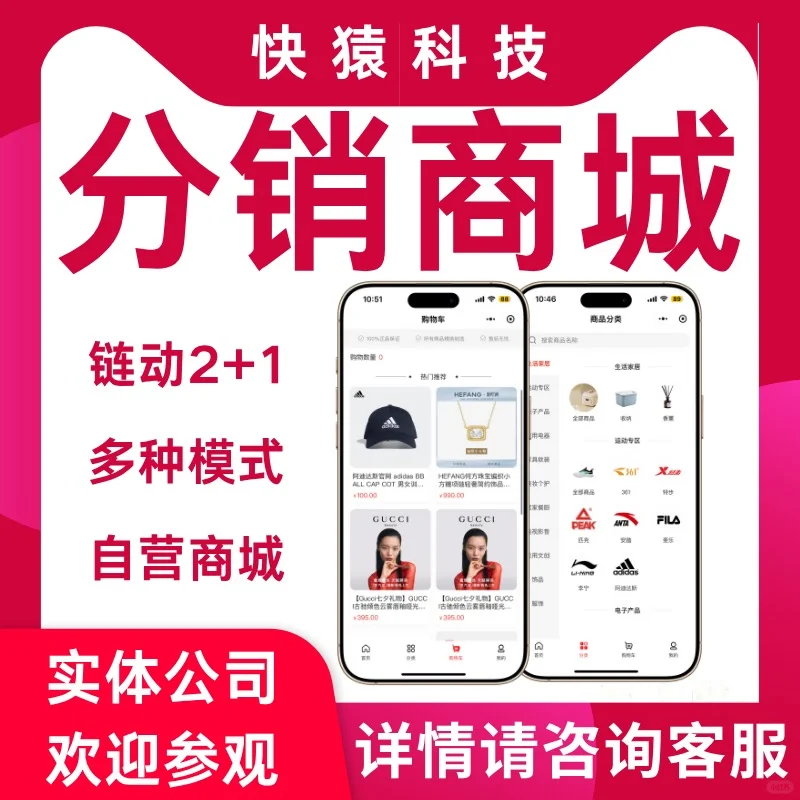 分销商城app定制开发