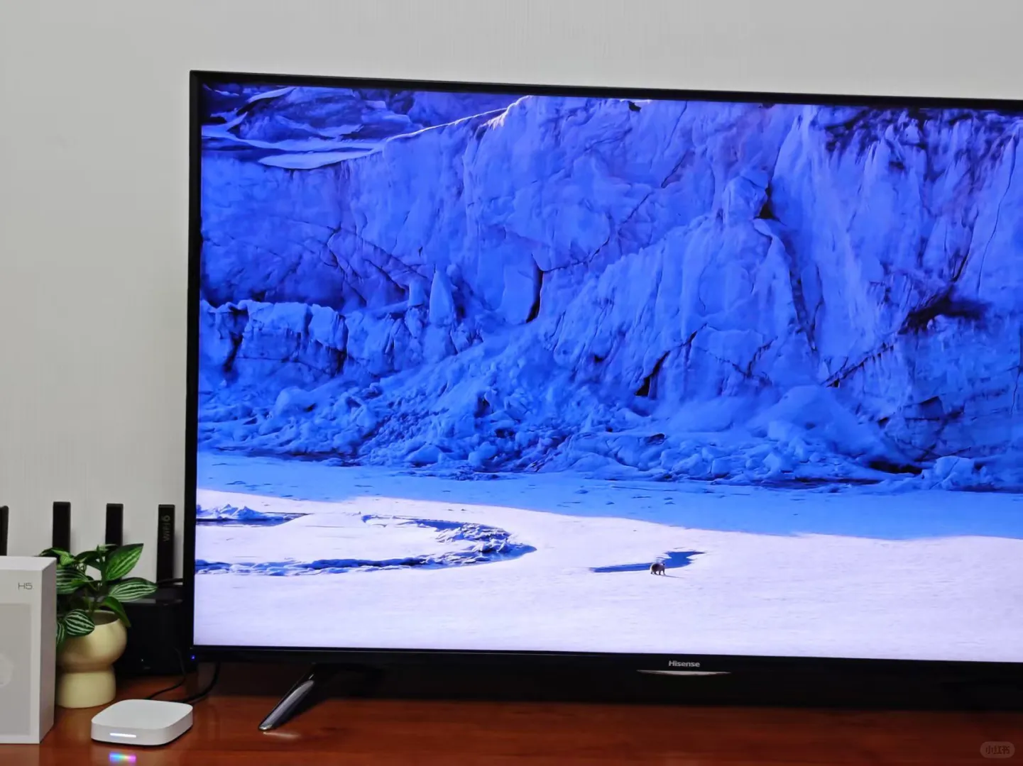 没白等，当贝H5有点东西