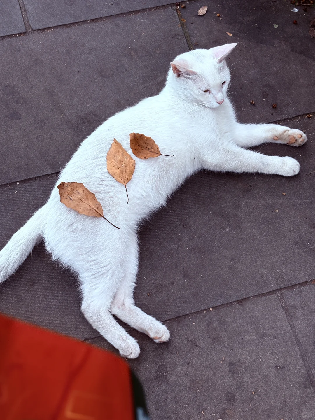 软件测试不复杂但是枯燥