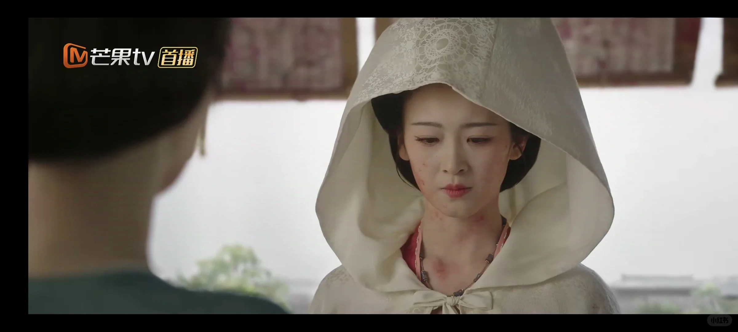 无广告的追剧app