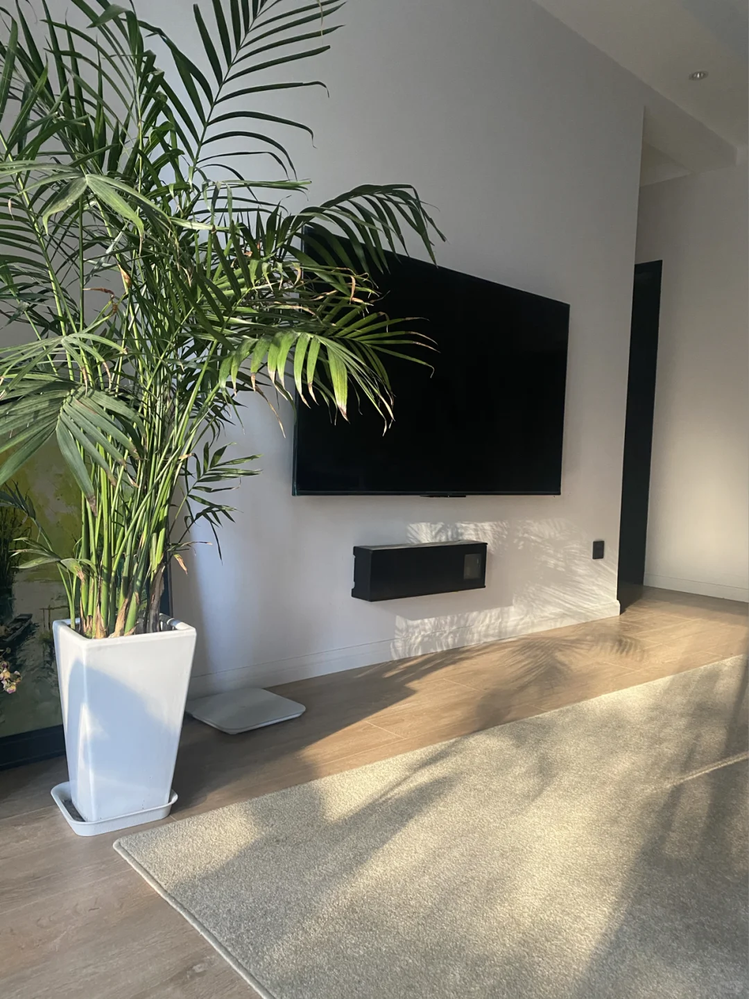 只要87元的无电视柜分享