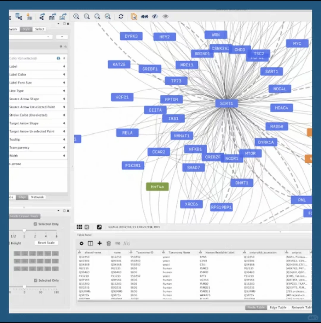 cytoscape软件安装包 插件包 下载安装教程