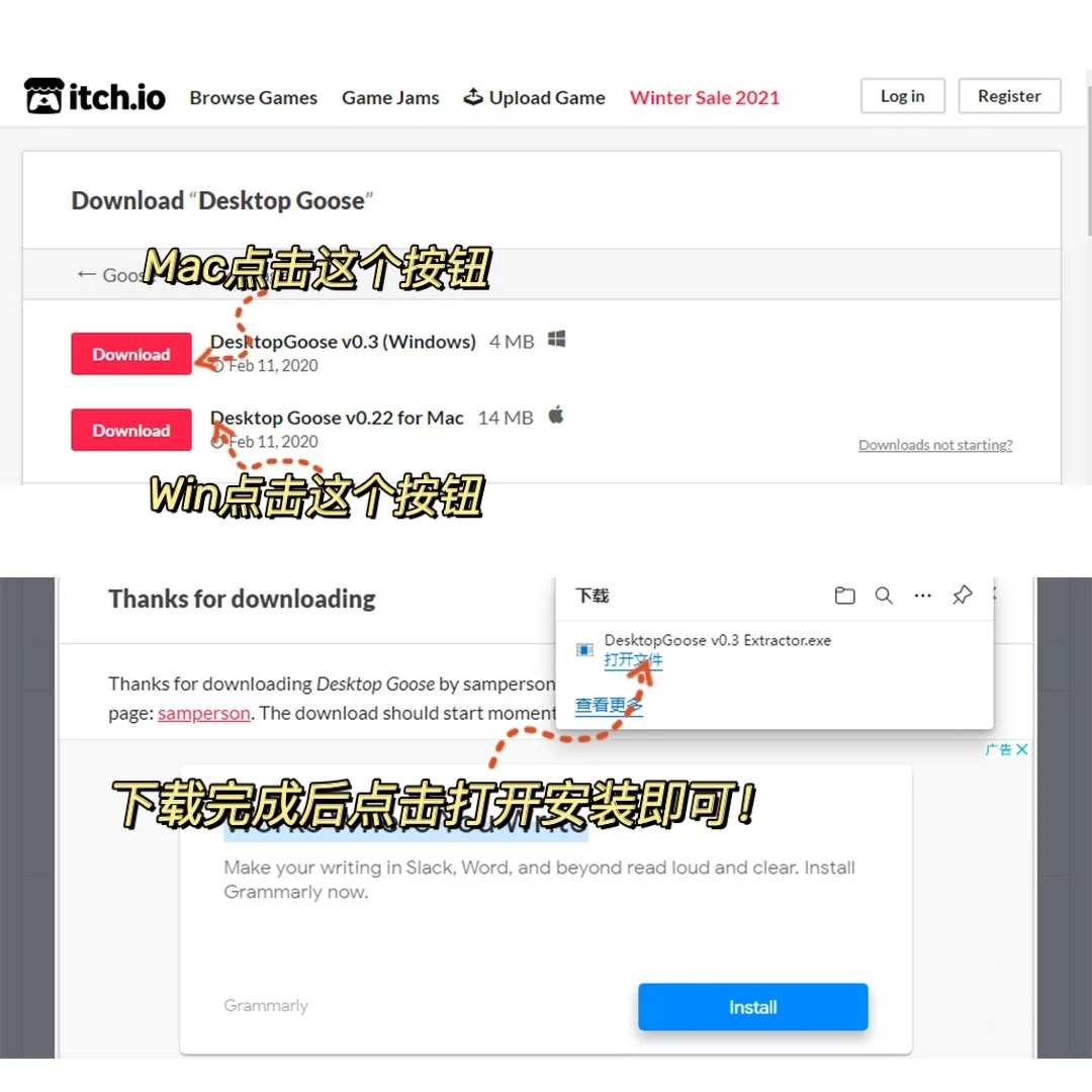 笑死！！千万不要给对象电脑装这只大鹅