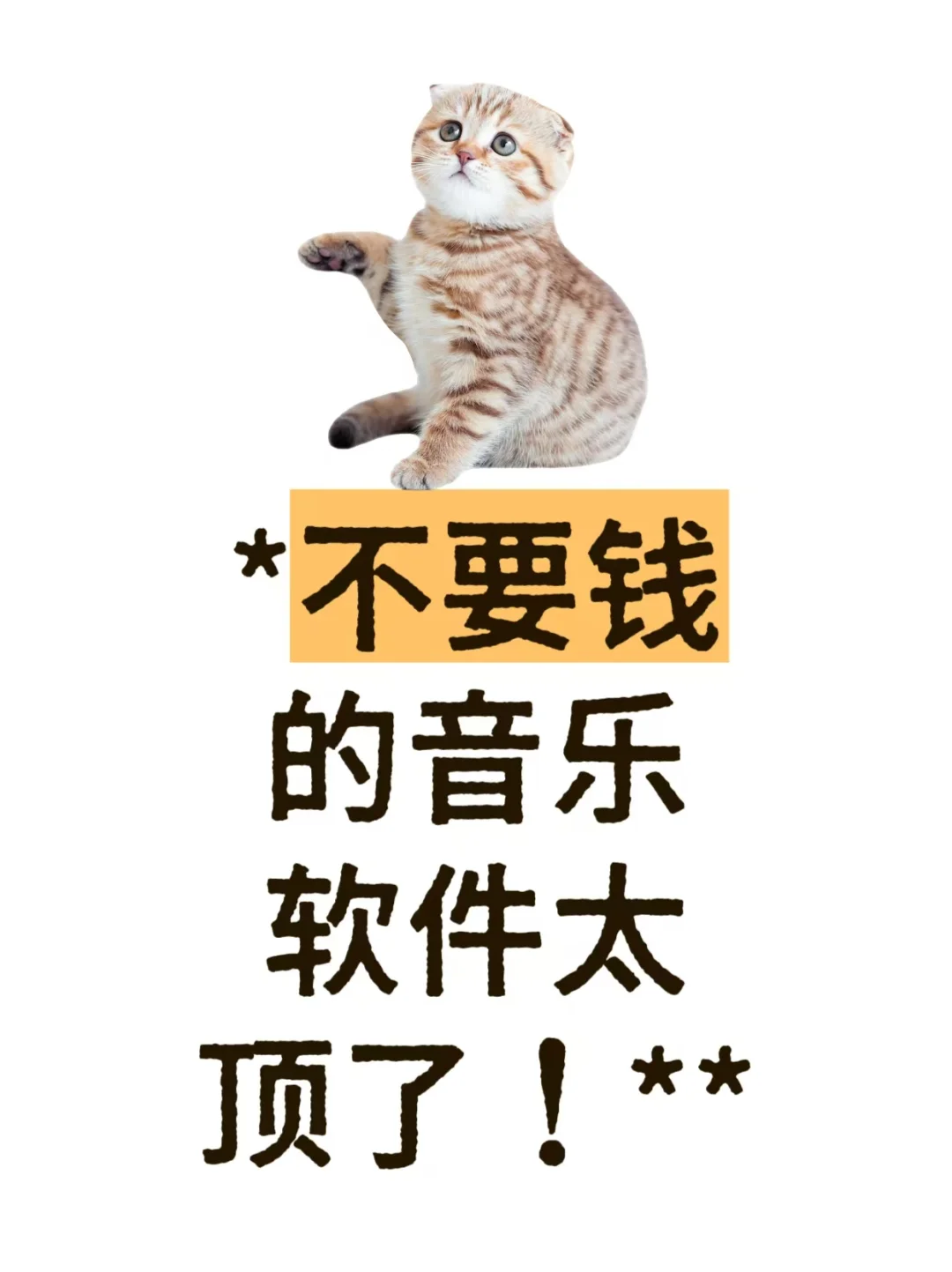 不要钱的音乐软件太顶了