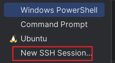 datagrip的终端插件为什么没有新会话选项