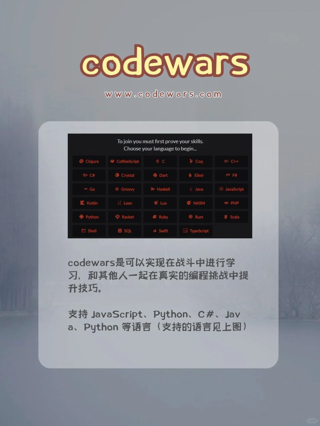 爱了爱了！玩游戏也可以学编程🉑🐮🍺