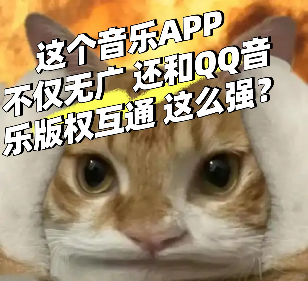 才知道这么宝藏的音乐APP 我孤陋寡闻了😨