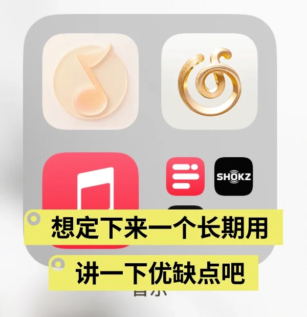 纠结音乐app ing