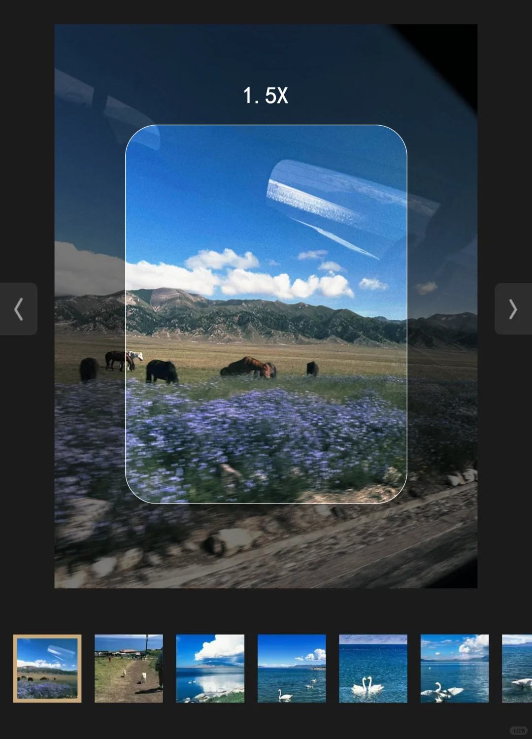 蹲到了！安卓手机📱自己的dazz！！