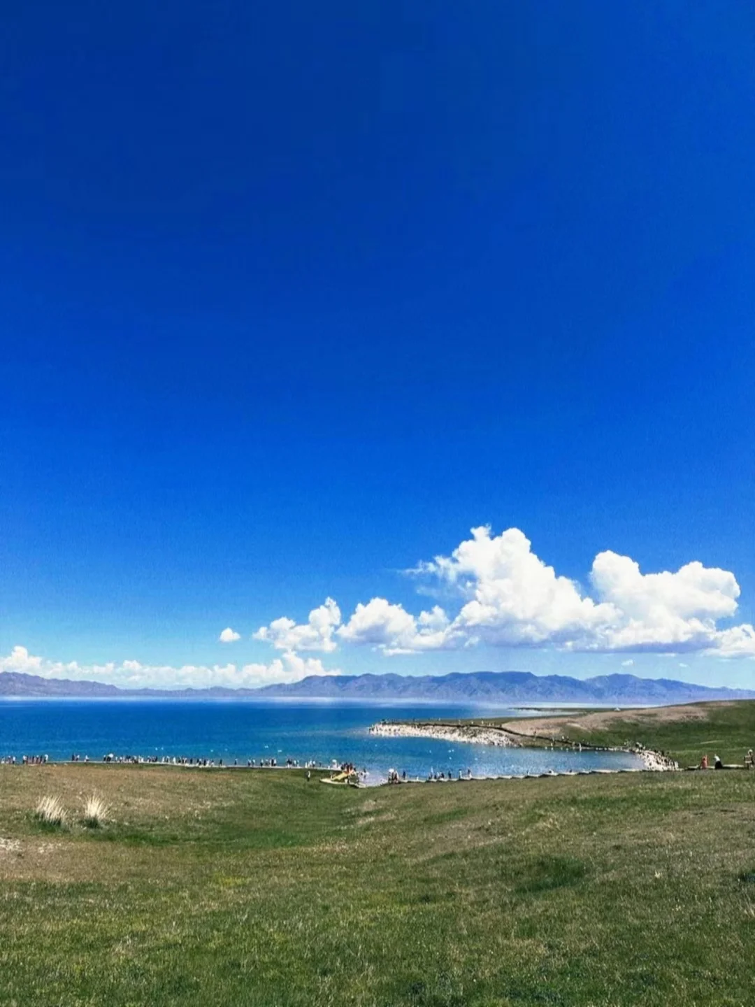 蹲到了！安卓手机📱自己的dazz！！