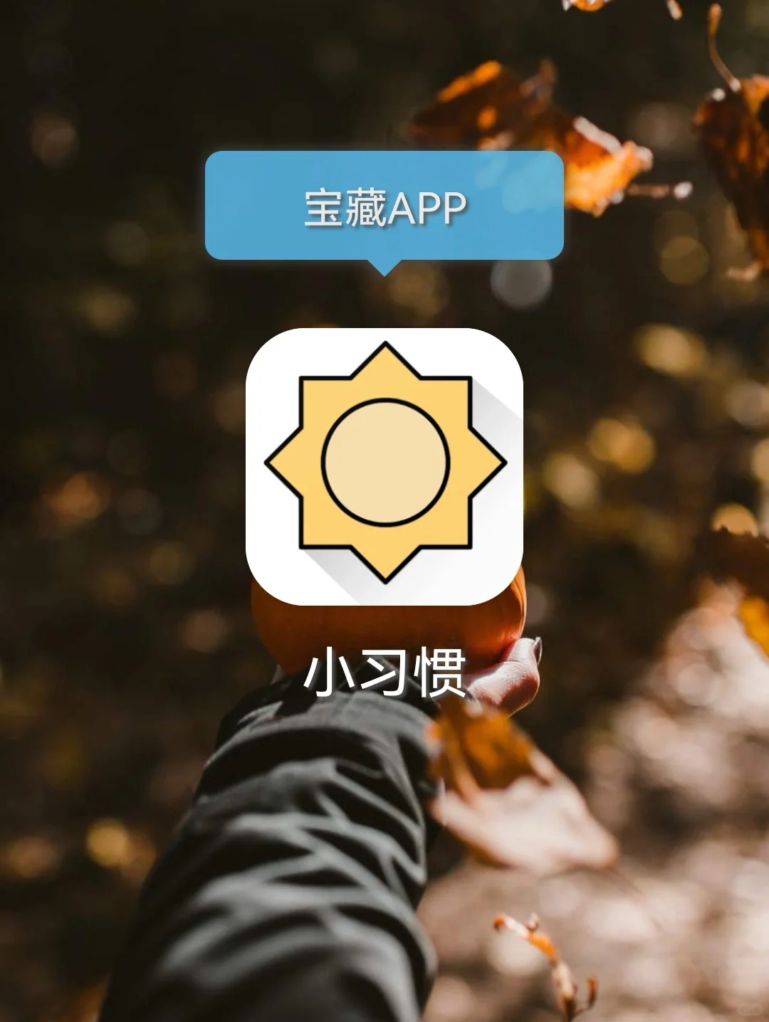 小习惯app|打卡第六天