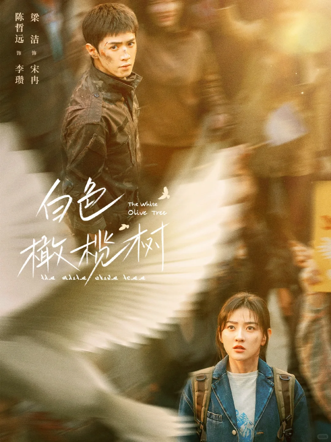 鲨疯了‼️四大平台👉新剧来袭⬇️2月剧集更新