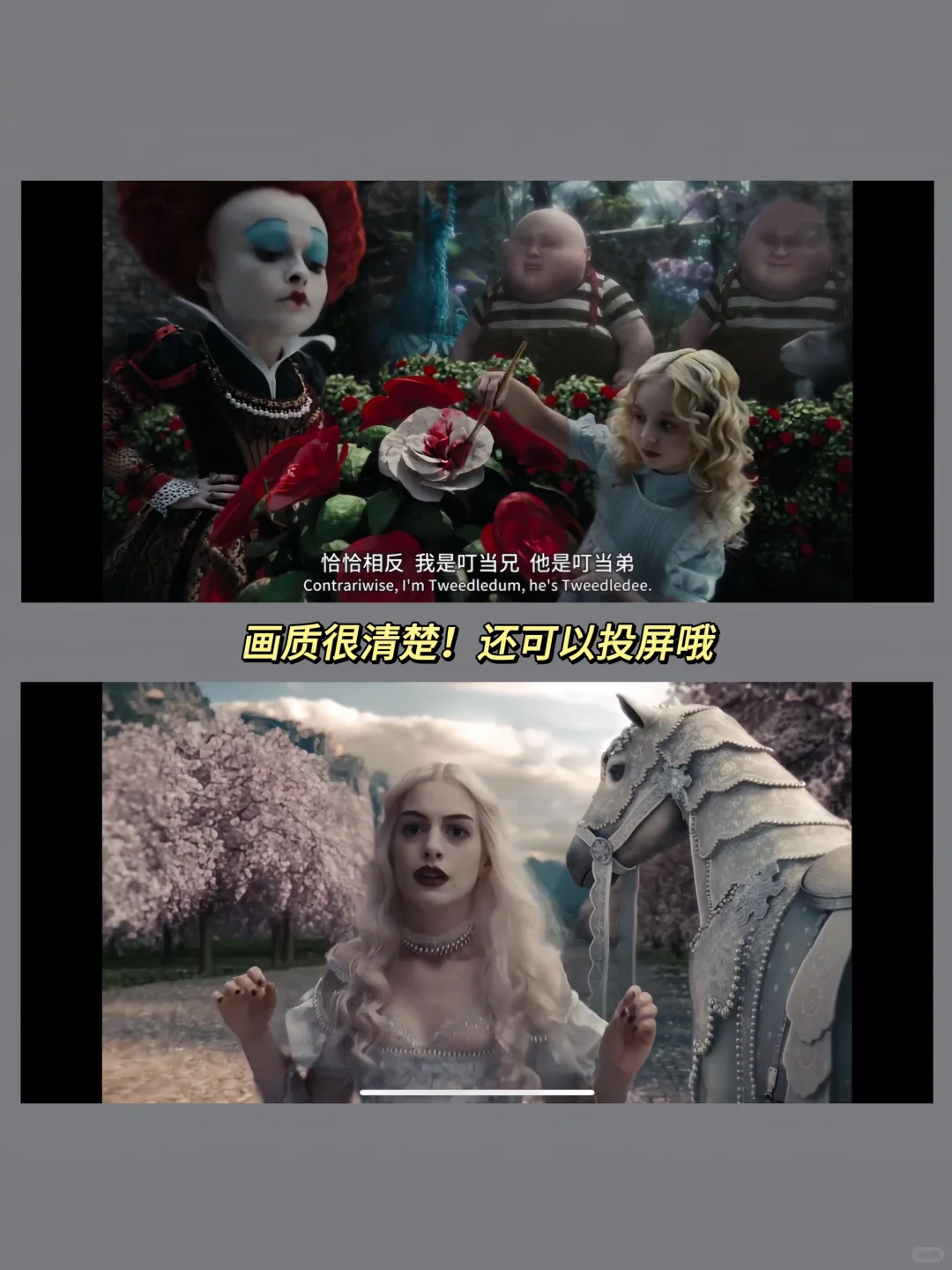 请大数据推给剧荒的姐妹！免费追剧神器来啦