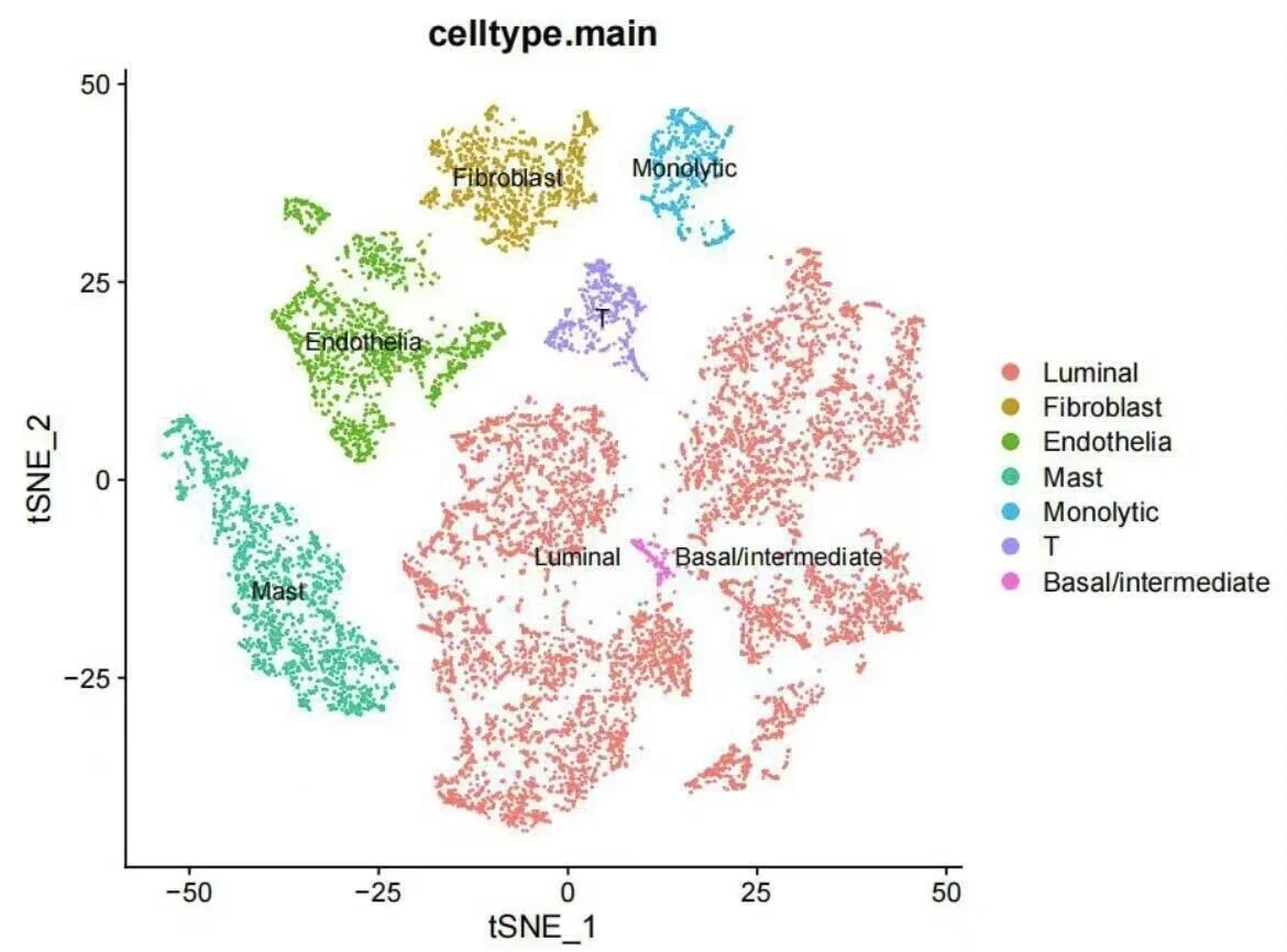 8k买的单细胞测序代码，分享给大家允许白嫖