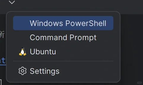 datagrip的终端插件为什么没有新会话选项