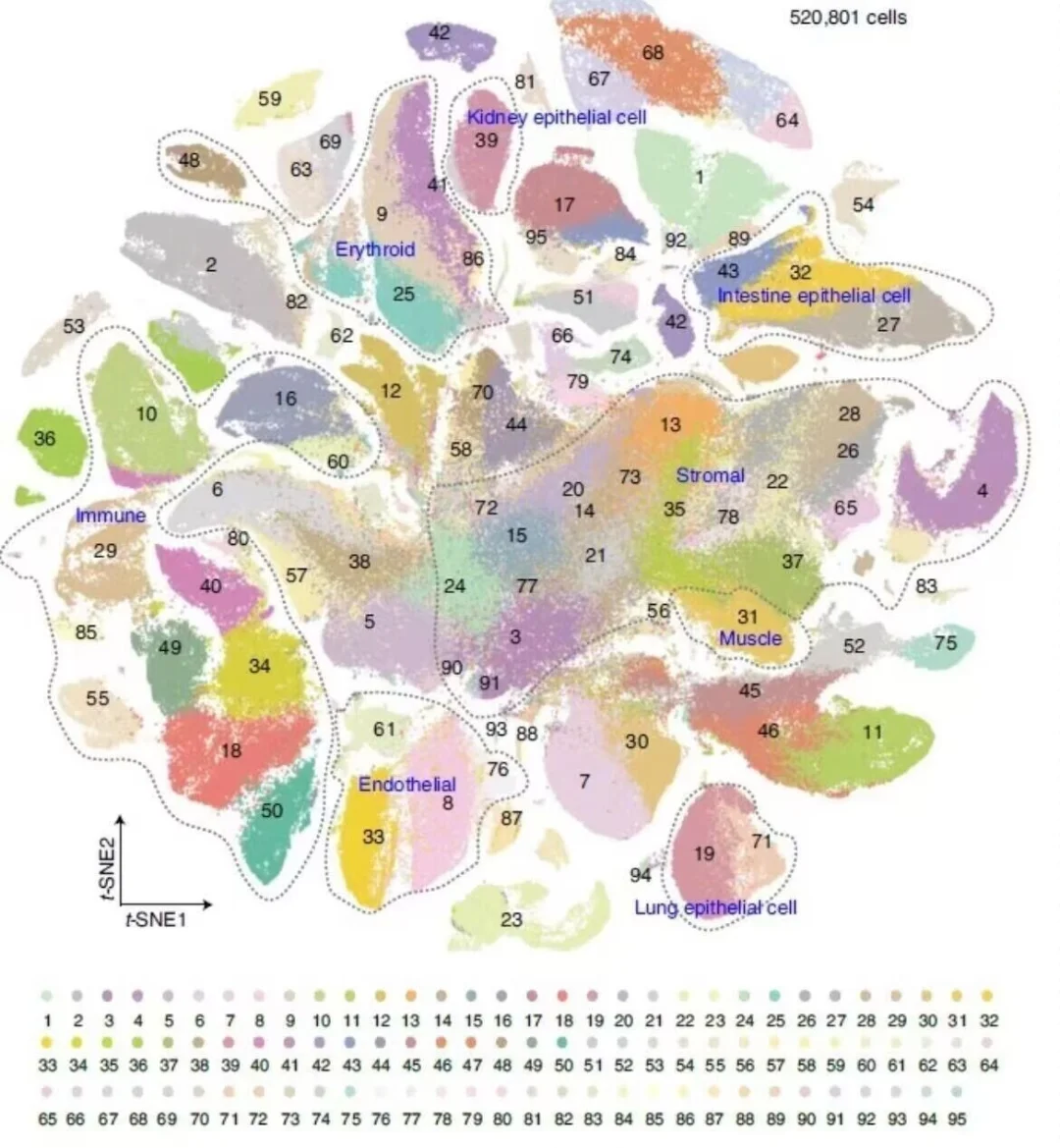 8k买的单细胞测序代码，分享给大家允许白嫖