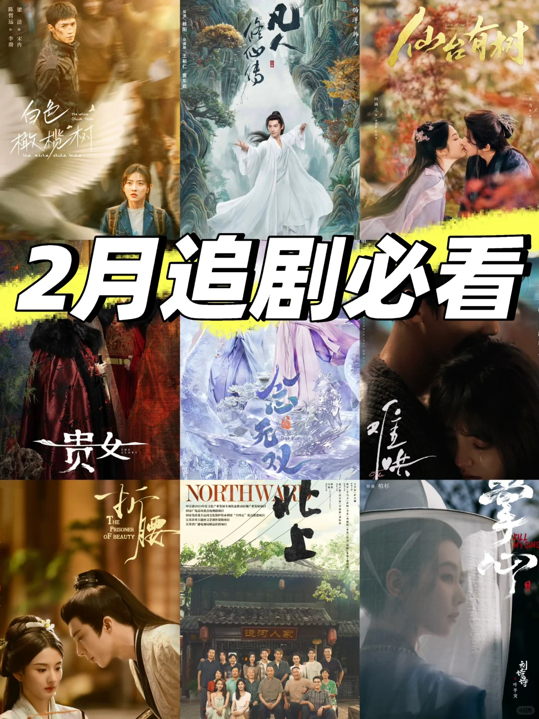 鲨疯了‼️四大平台👉新剧来袭⬇️2月剧集更新