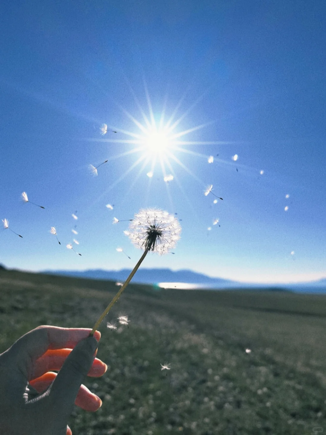 蹲到了！安卓手机📱自己的dazz！！