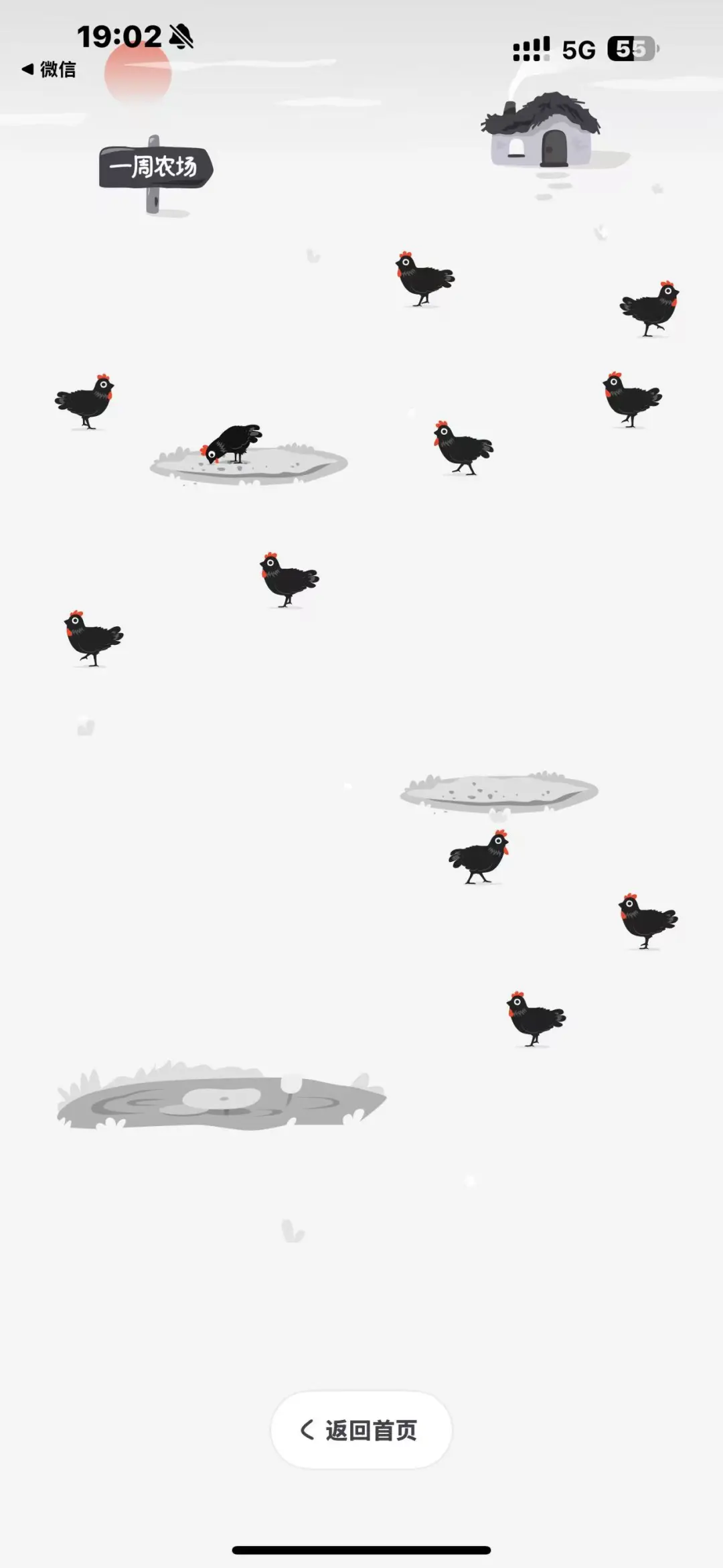 小鸡专注这个app别太适合自律学习了🤩